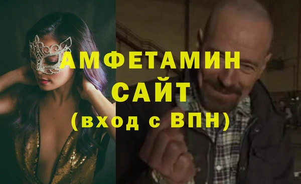 дживик Белокуриха