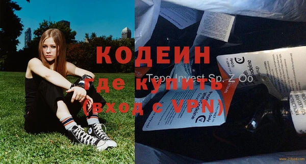 дживик Белокуриха