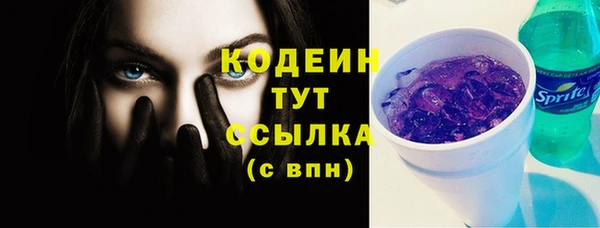 дживик Белокуриха
