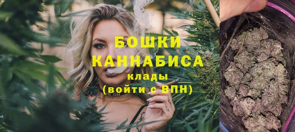 дживик Белокуриха