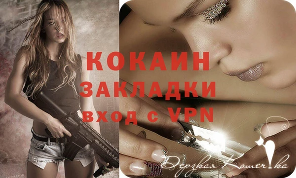 дживик Белокуриха