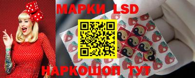 амф Кандалакша