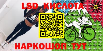 амф Кандалакша