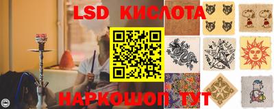 амф Кандалакша