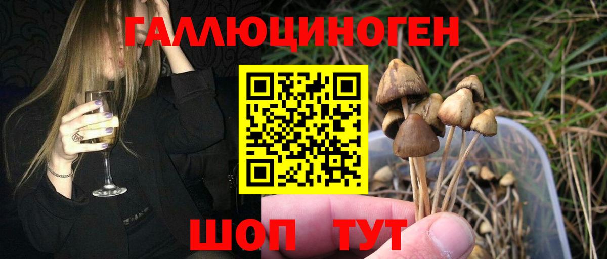 Псилоцибиновые грибы мухоморы Минеральные Воды