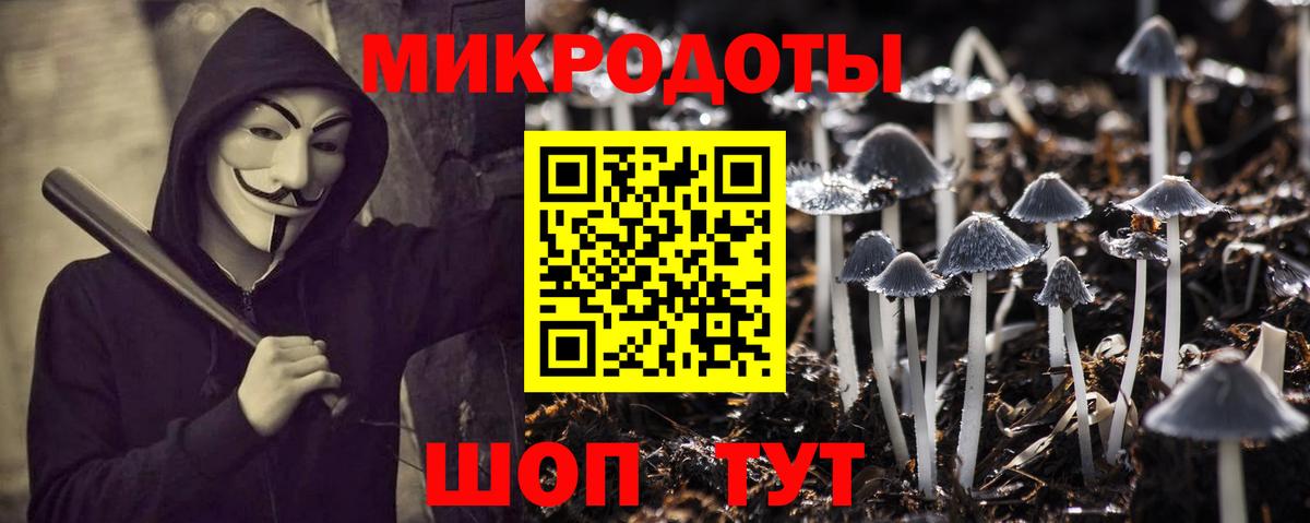 Галлюциногенные грибы Psilocybine cubensis  Псилоцибиновые грибы ЛСД  Вход с VPN  наркотики  Минеральные Воды 